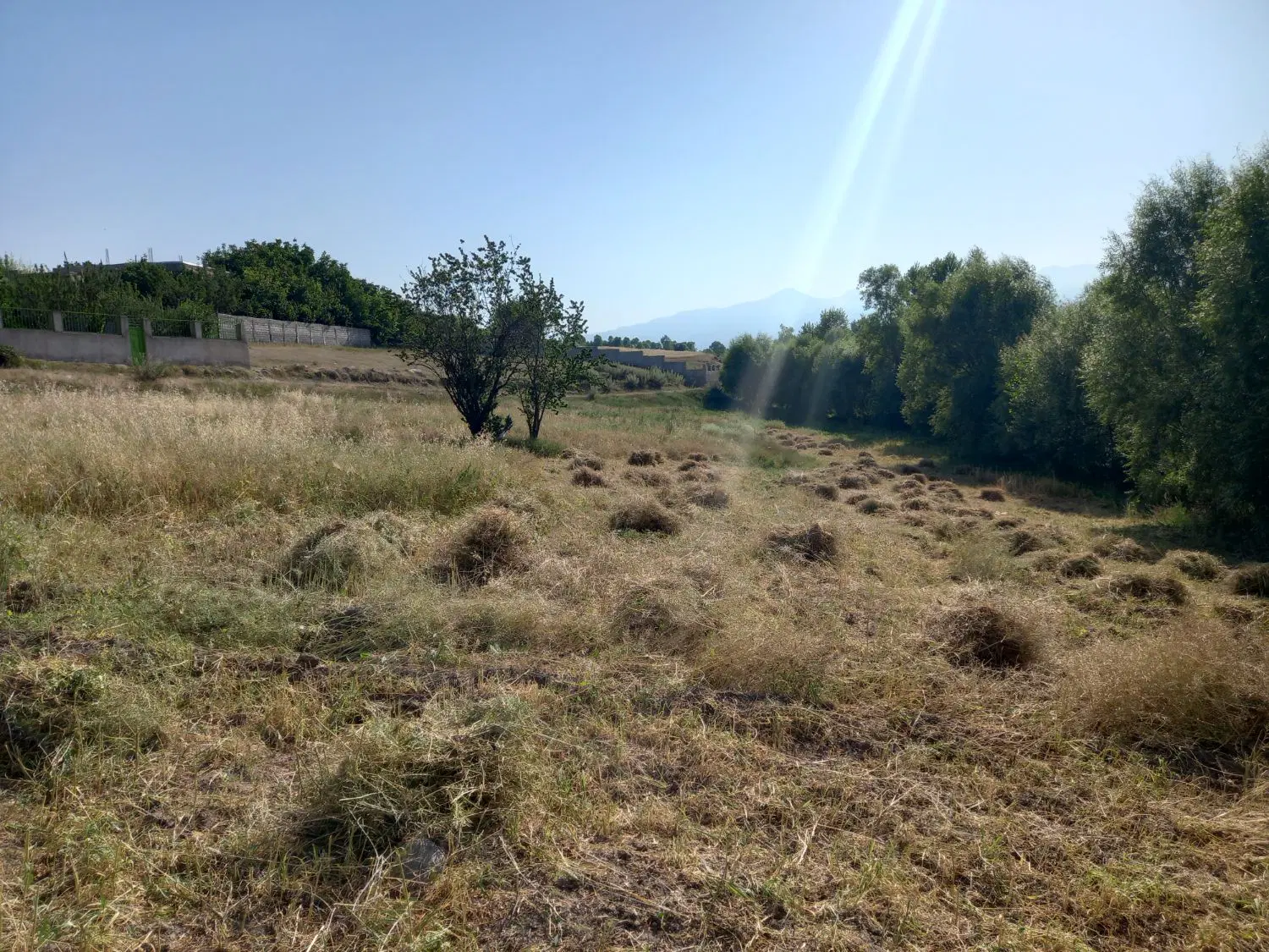 زمین زراعی دارای کاربری روستای دیجوجین