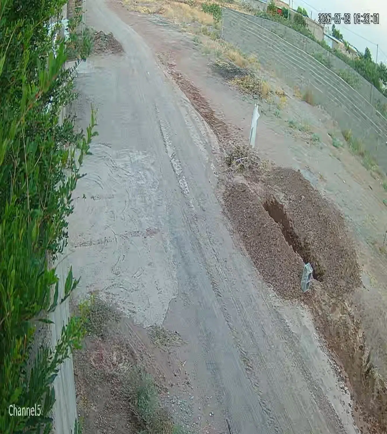 باغ پسته ایی احمدآقایی و فندقی