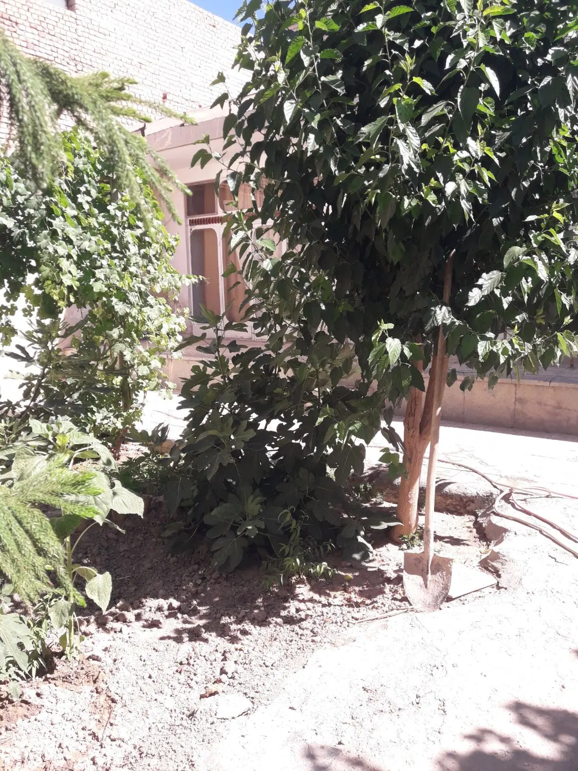 خانه ویلایی ۲۰۰ متر مساحت کل