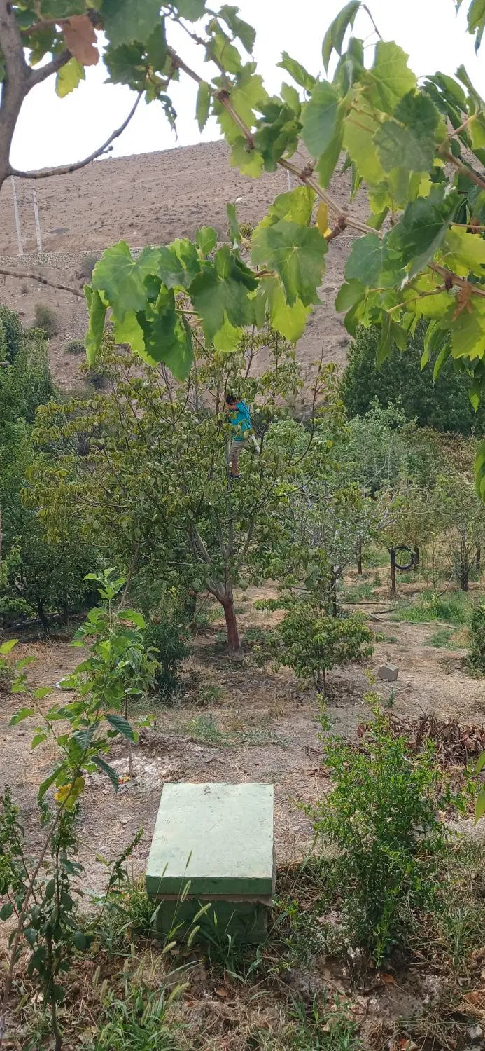باغ ویلا ۱۰۰۰متری بومهن گلخندان روستای زردستان