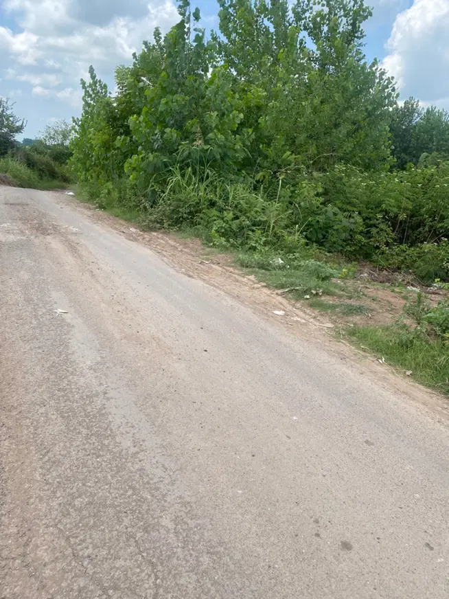 زمین باغی