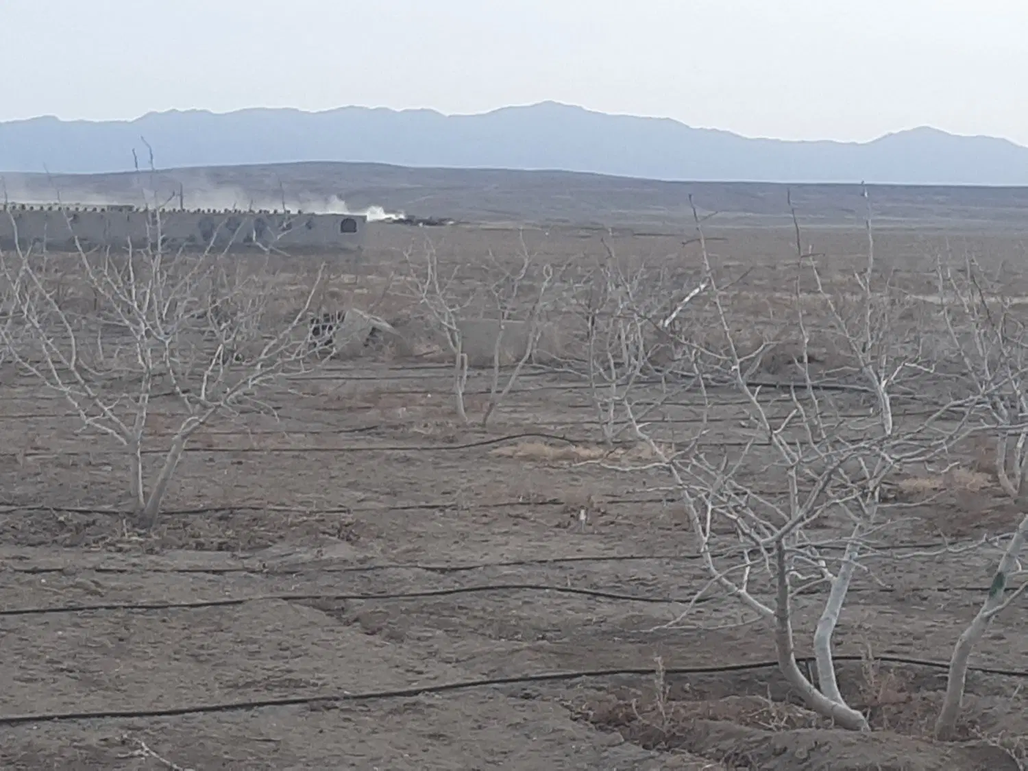 زمین مناسب باغچه و سرمایه گذاری