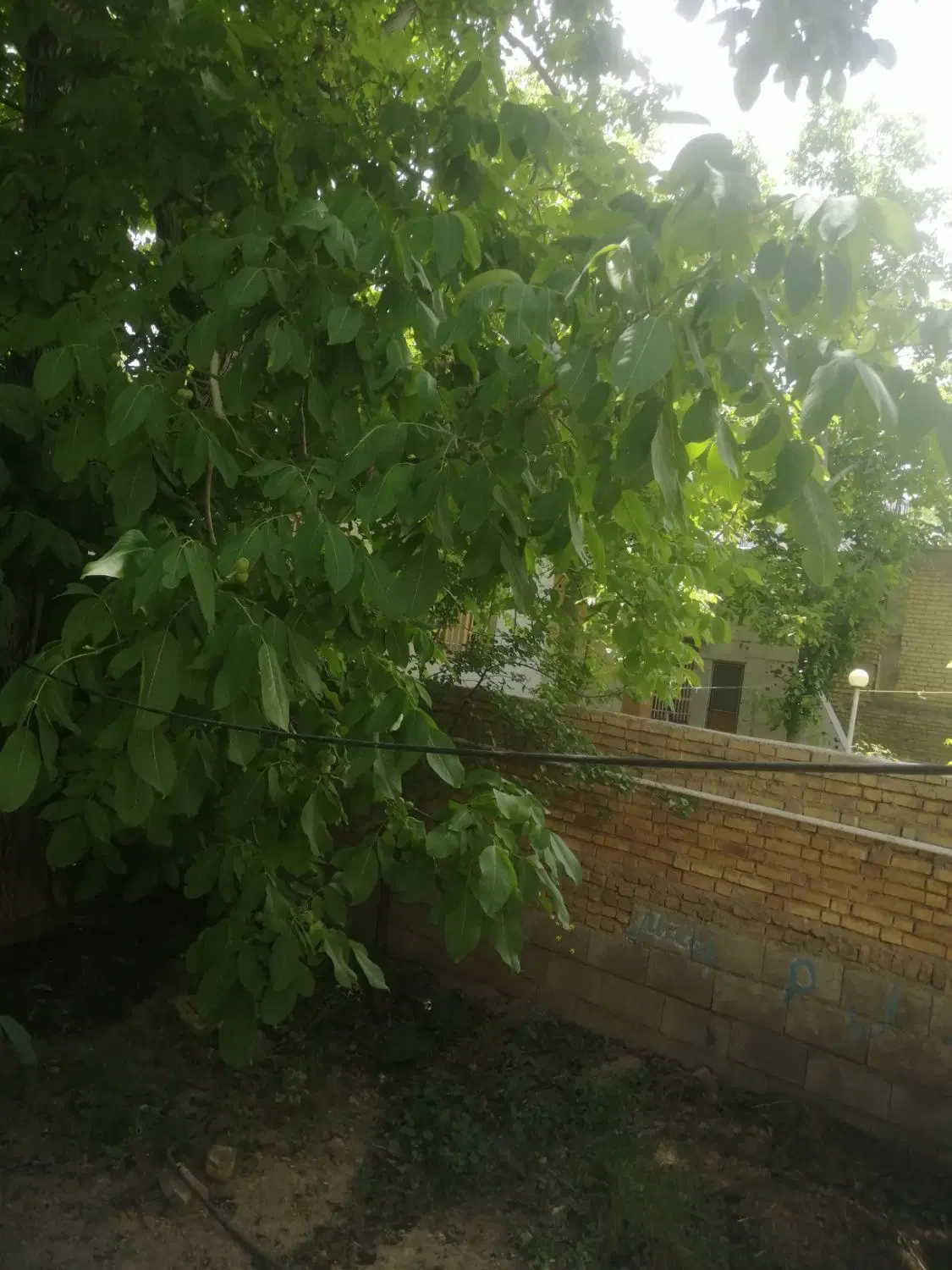 شهرکردمنزل ویلای 330متر چغاخور