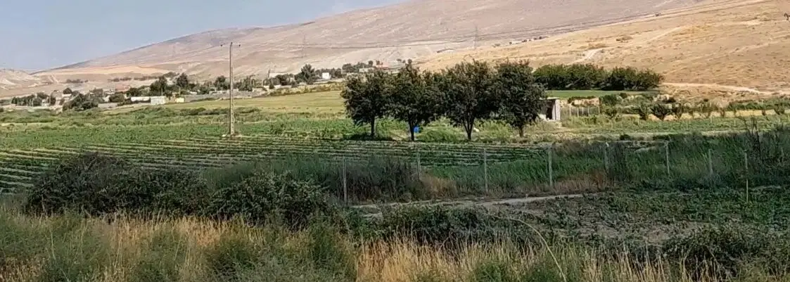 زمین مسکونی