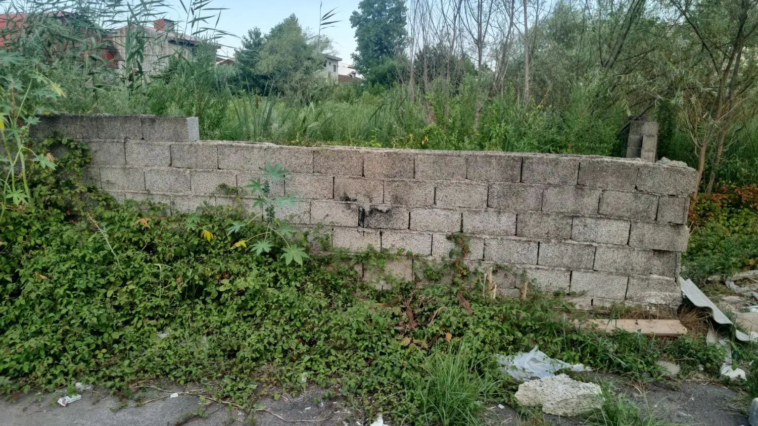 رفیق همیشگی(ج سراوان)