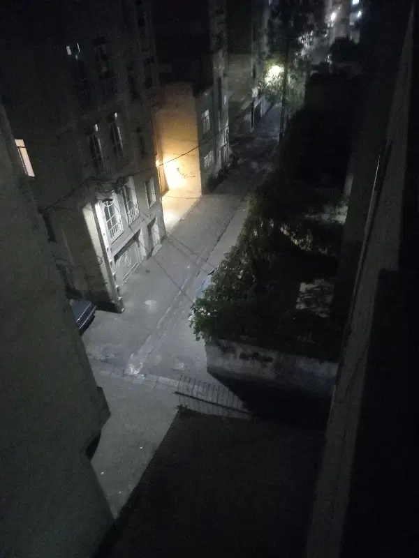 همخونه یا هم خانه