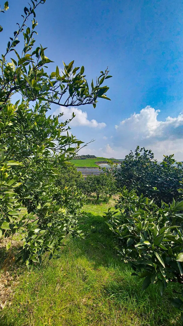 فروش زمین