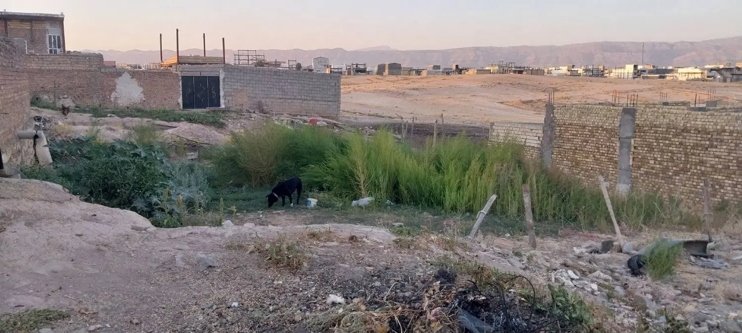 زمین مسکونی روستای چنار علیا