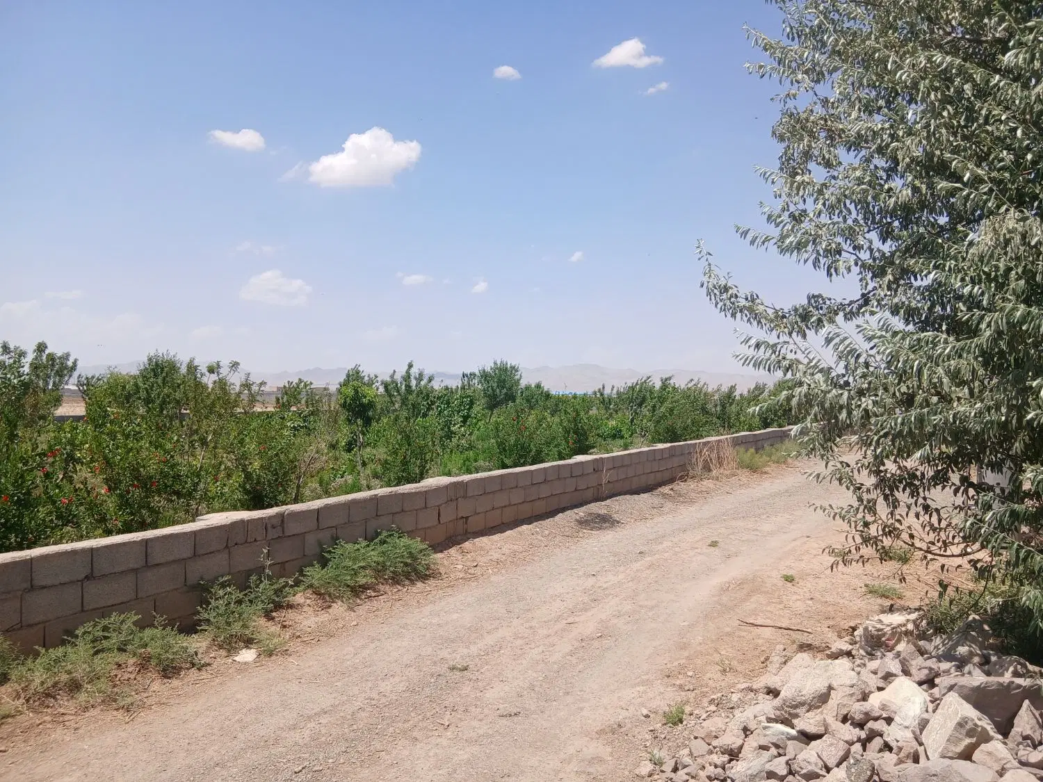 زمین و باغ متری و هکتاری ساعته تهران