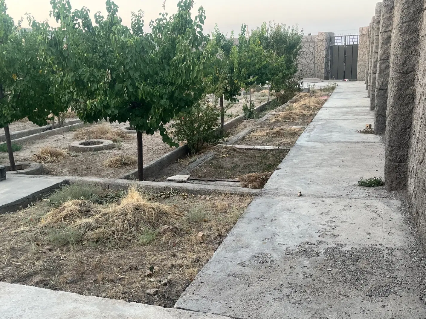 فروش زمین۵۰۰ متری اماده استفاده ناظریه