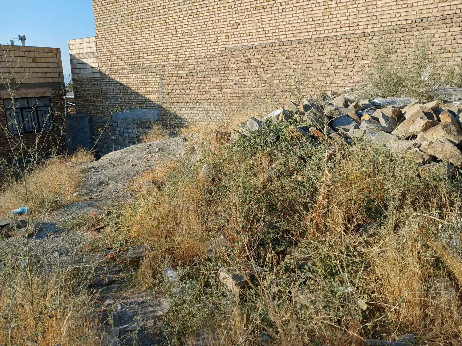 فروش زمین بادکی