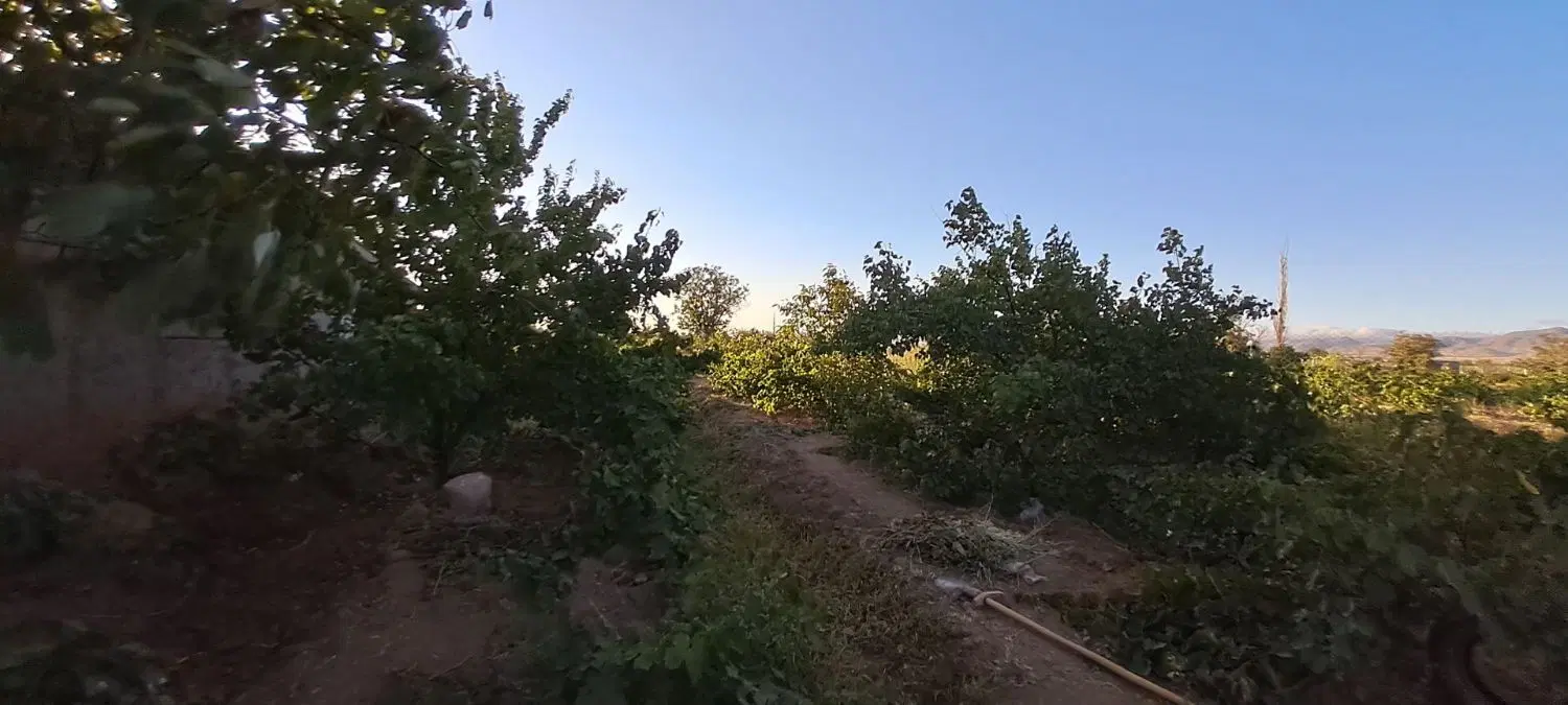 خانه باغ
