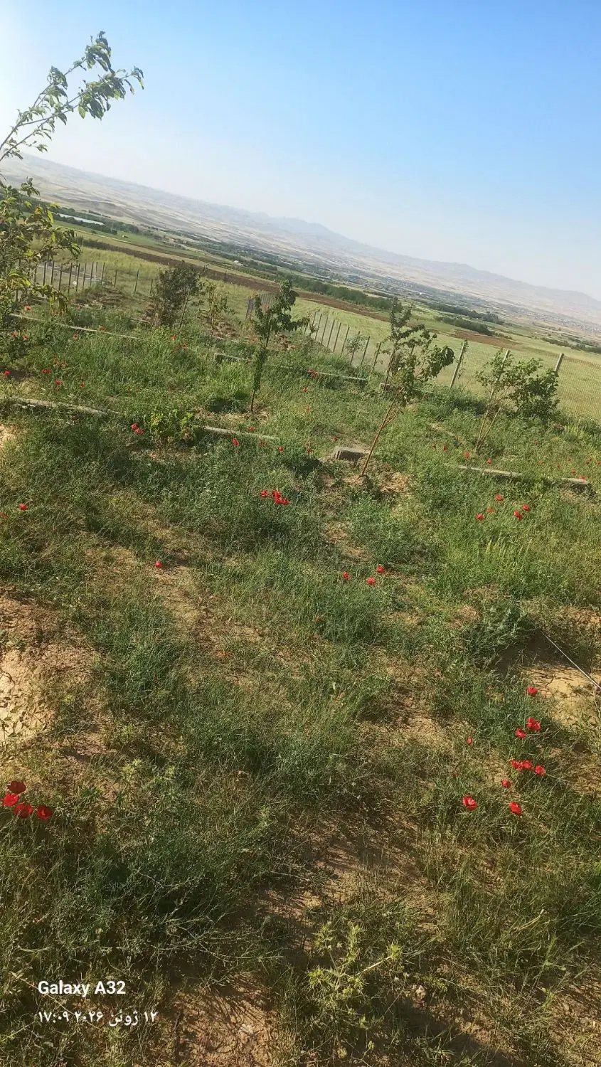 باغ در گوشلان