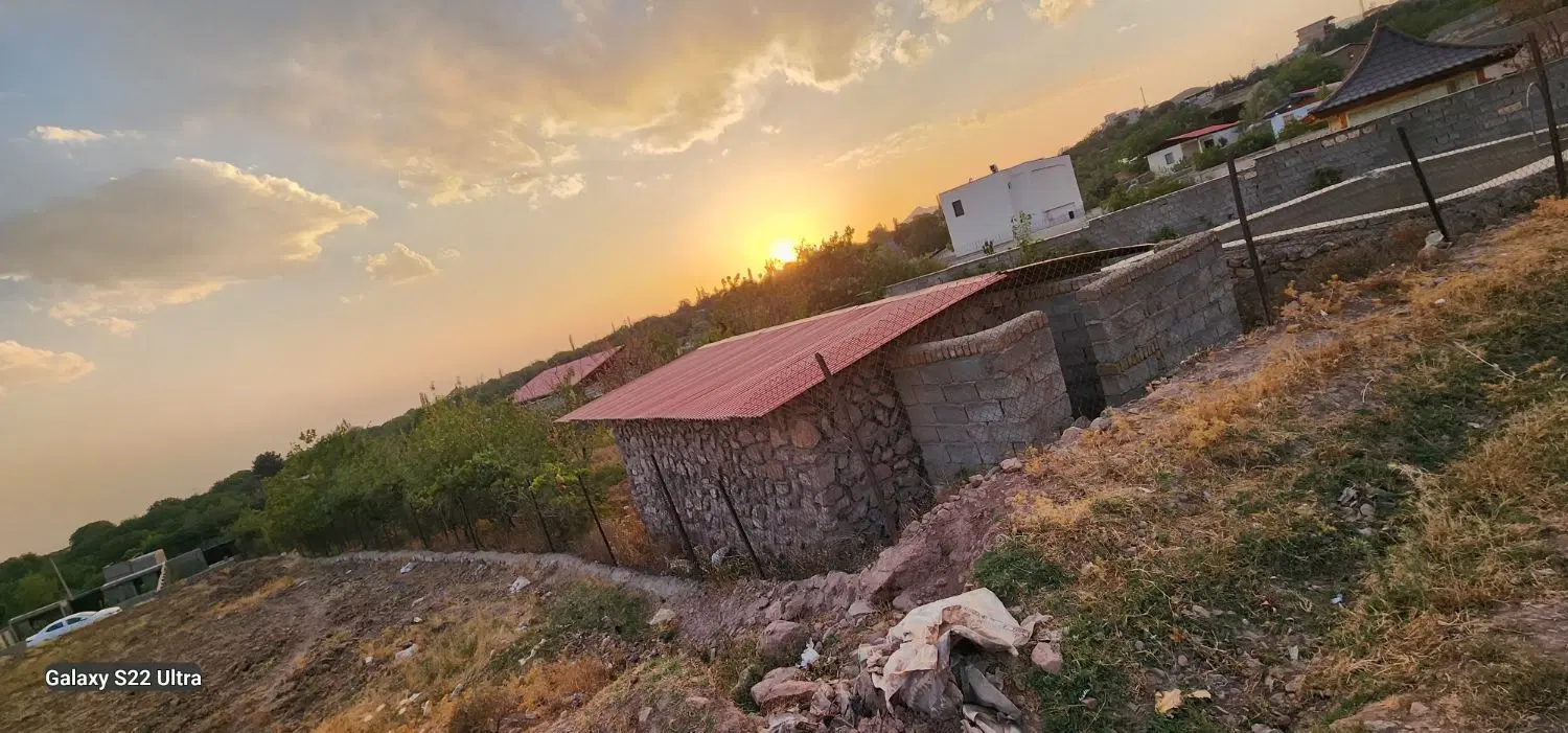 باغچه فروشی  باغ