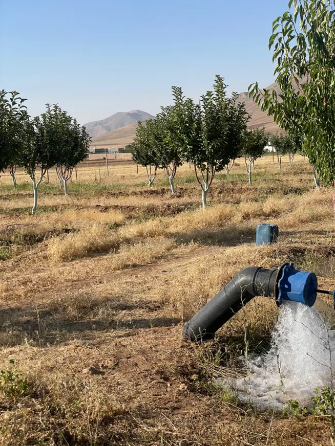 زمین کشاورزی گلشن اباد