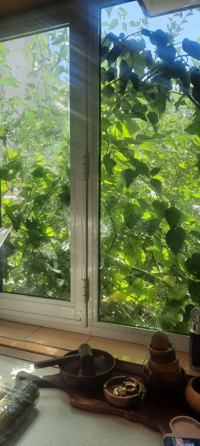 واحد ویلایی جهت اجاره