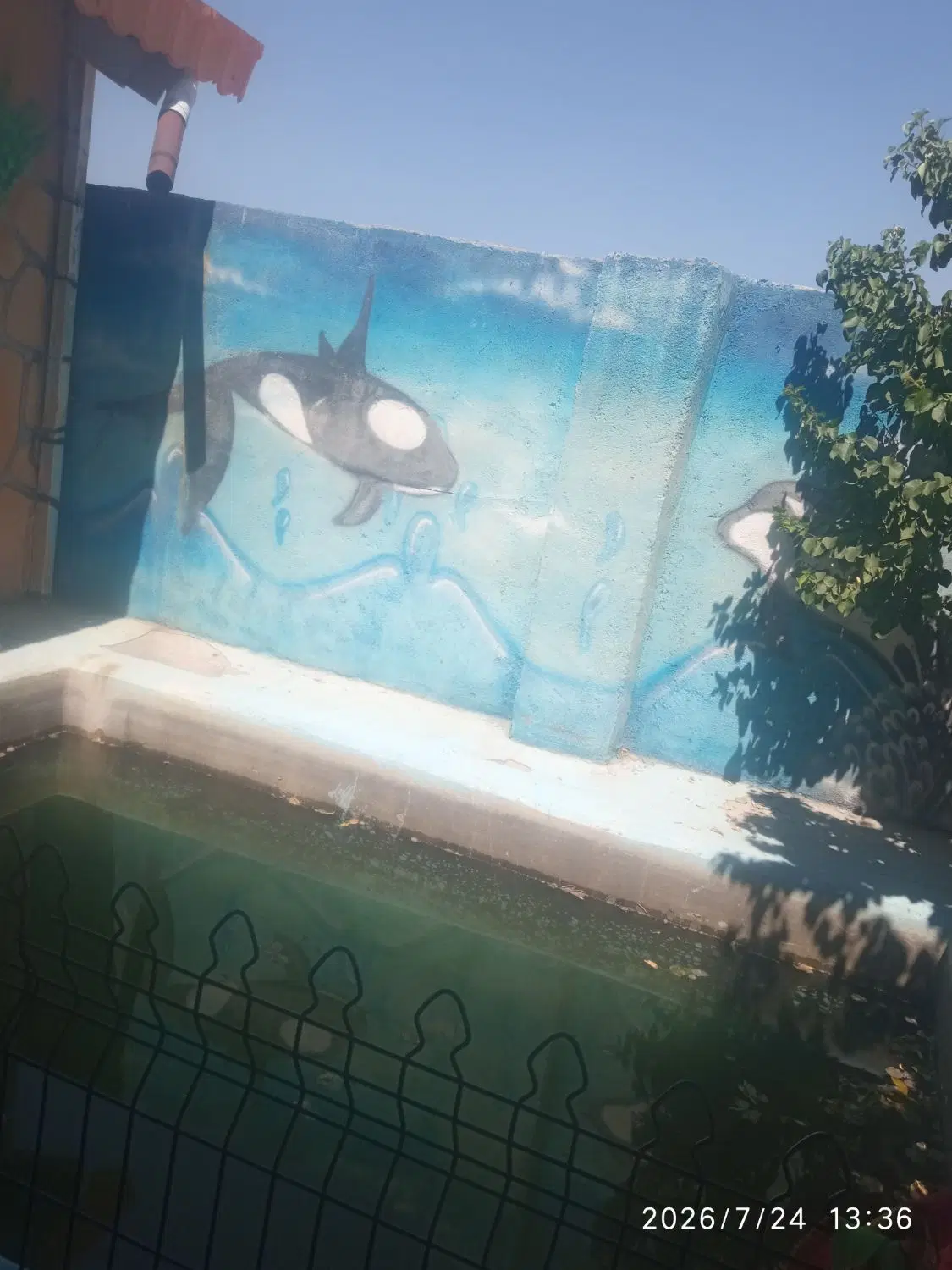 باغ ویلاتوبافت روستا