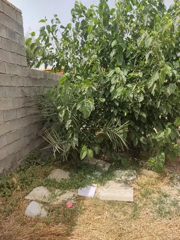 منزل مسکونی معاوضه با پژو
