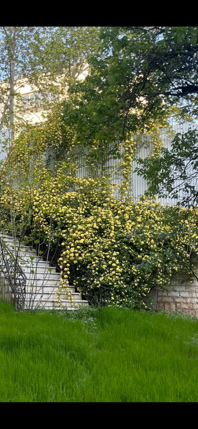 فشم، با بهترین چشم انداز