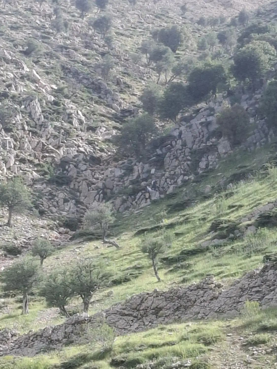 زمین مهریان