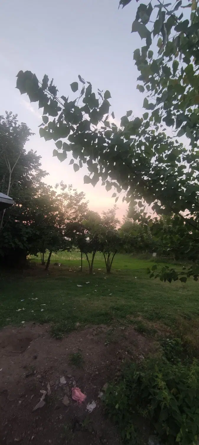 ۱۲۰۰متر زمین مسکونی و باغی