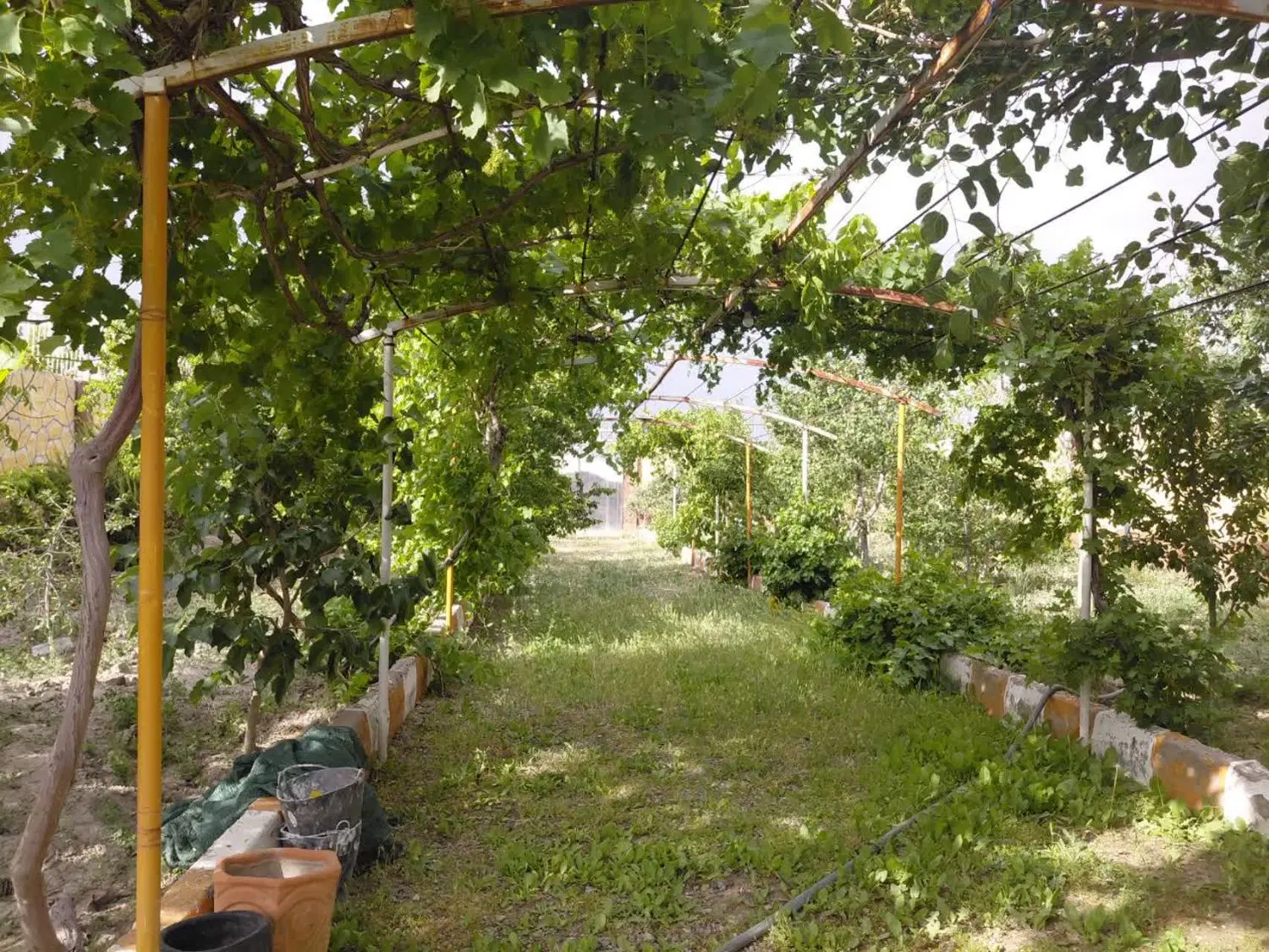 باغ شاهنامه
