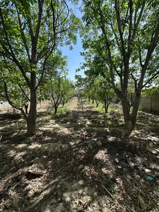 9000 متر زمین کشاورزی سنددار آب چاه موتور برق