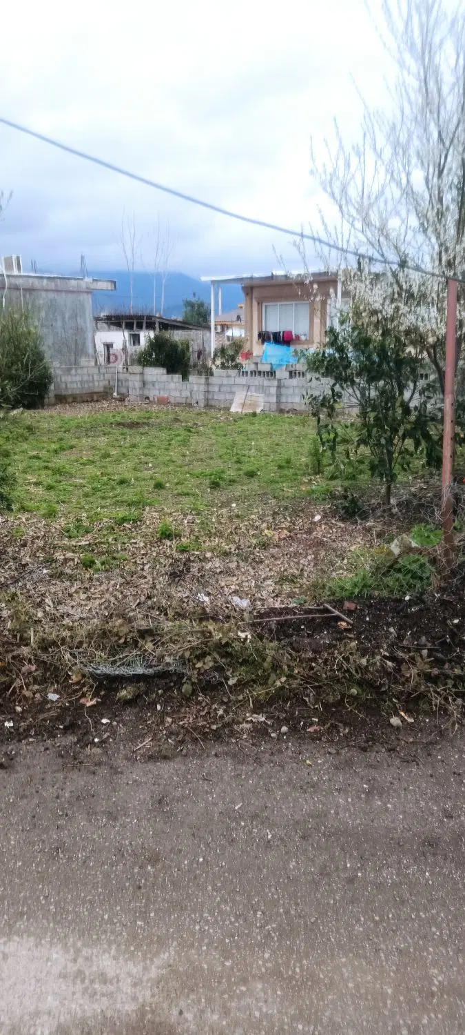 زمین مسکونی در تالش