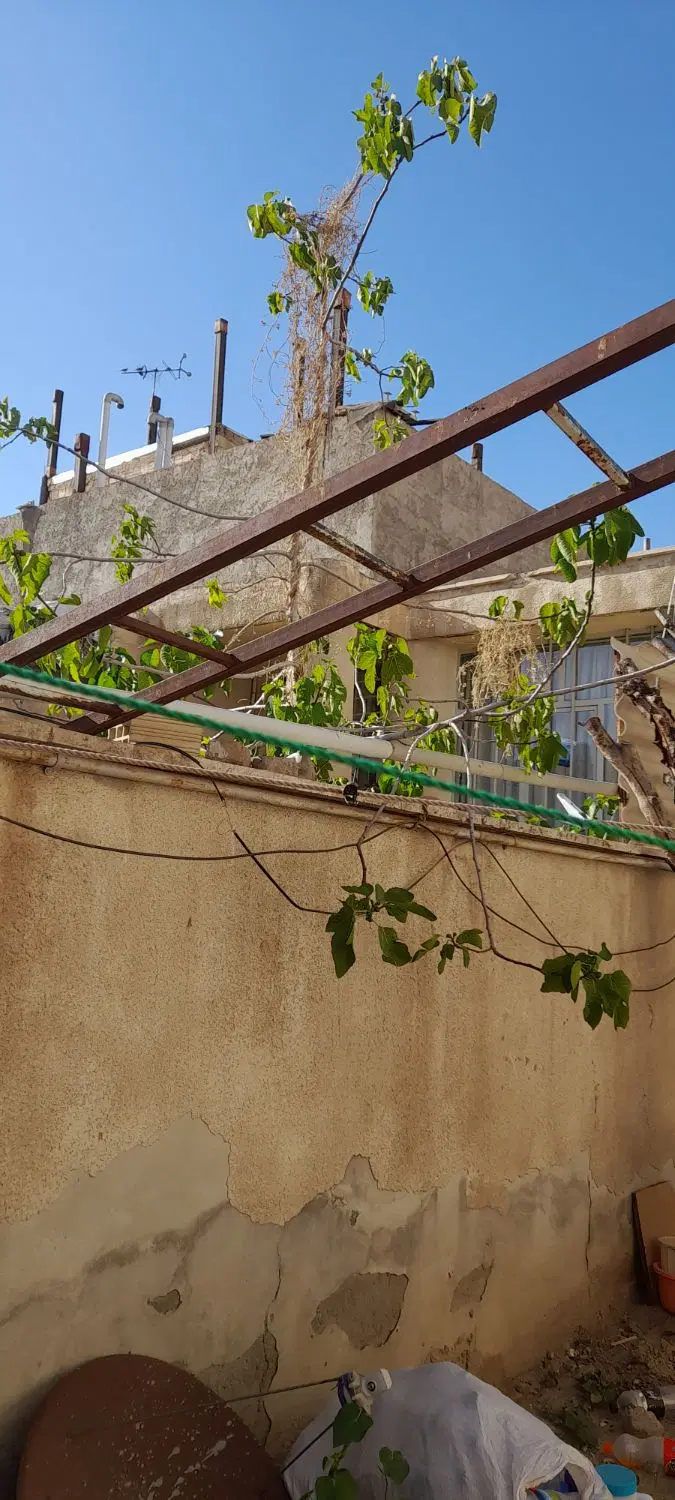 خانه ویلایی