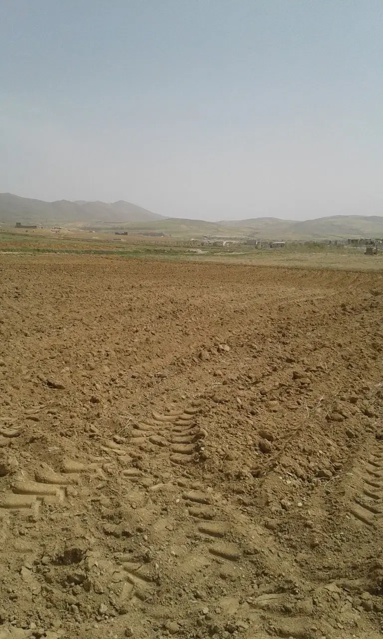 یو عددزمین بکرومسطح مناسب درست کردن باغ
