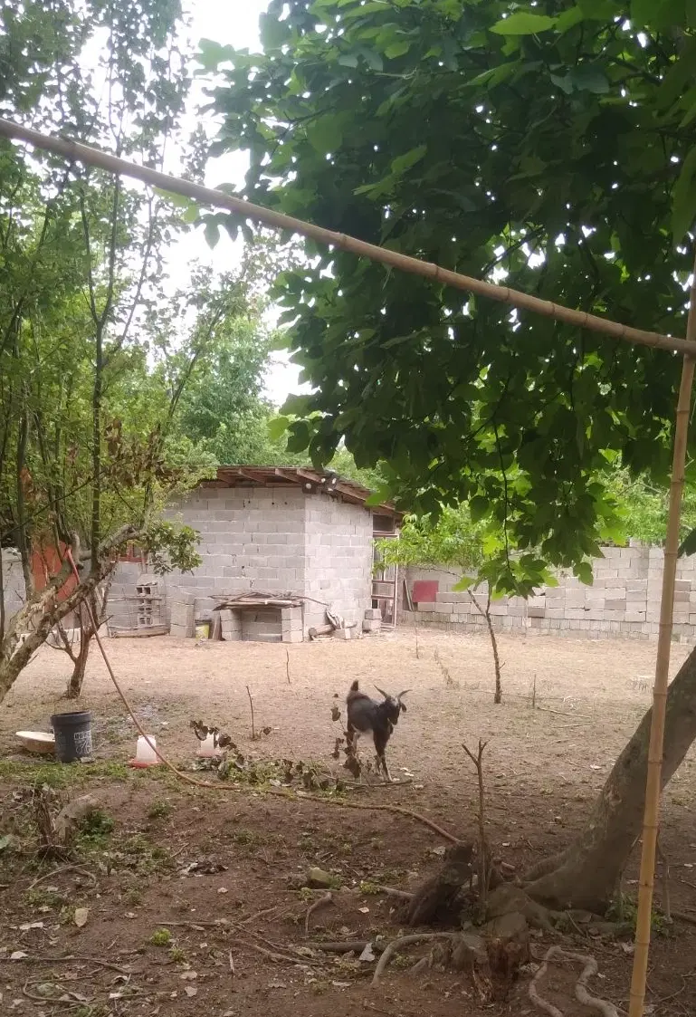 بهترین مورد جهت سرمایه گذاری