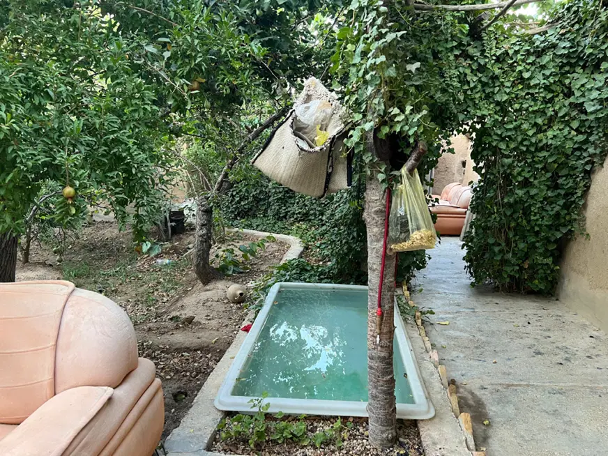 فروش باغ سنتی