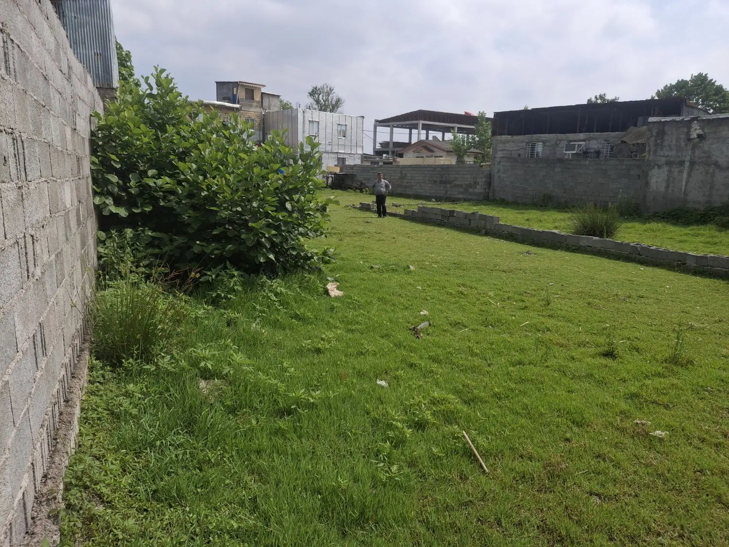 زمین 196متری رشت