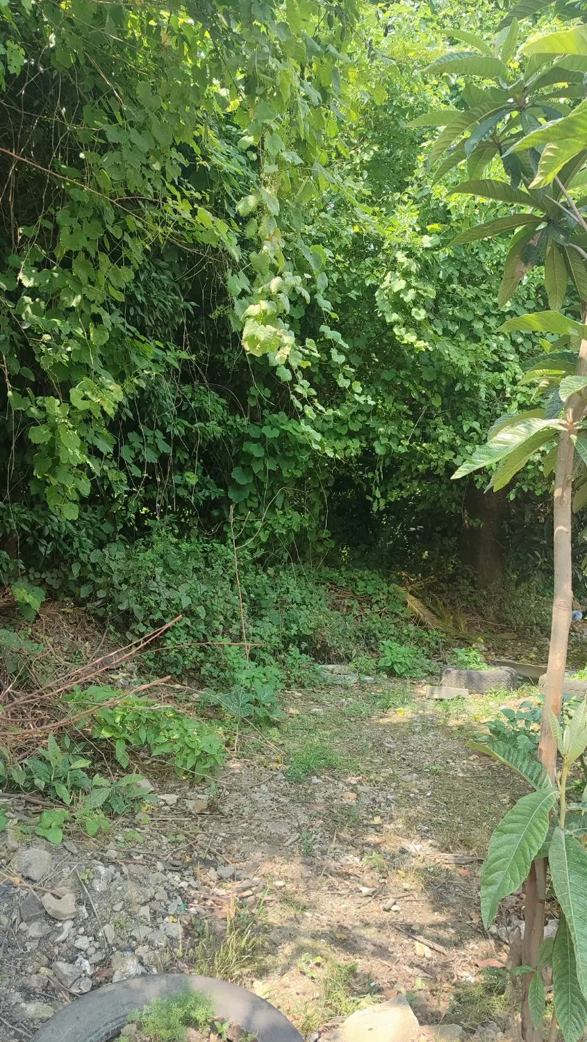 ملک 36 متری تجاری آس