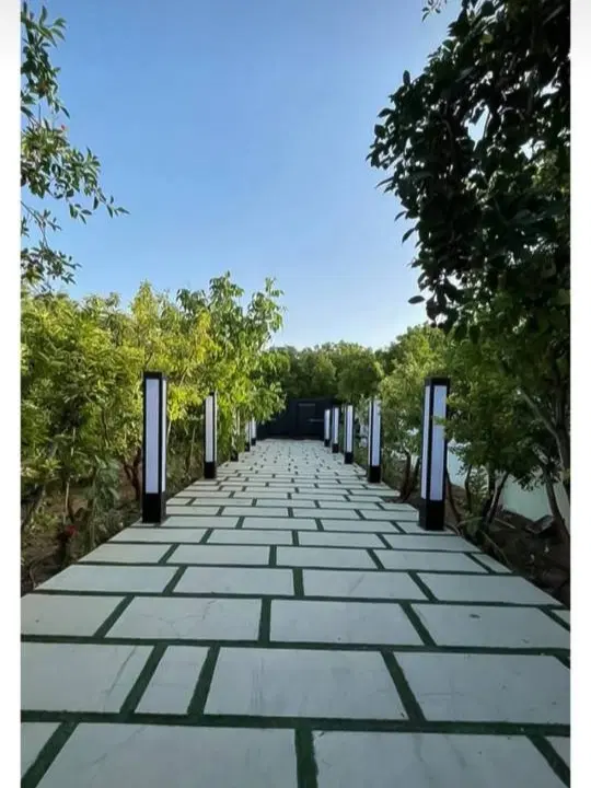 زمین ۳۲۰ متری سنددار
