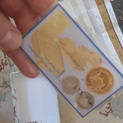 سود مشارکت