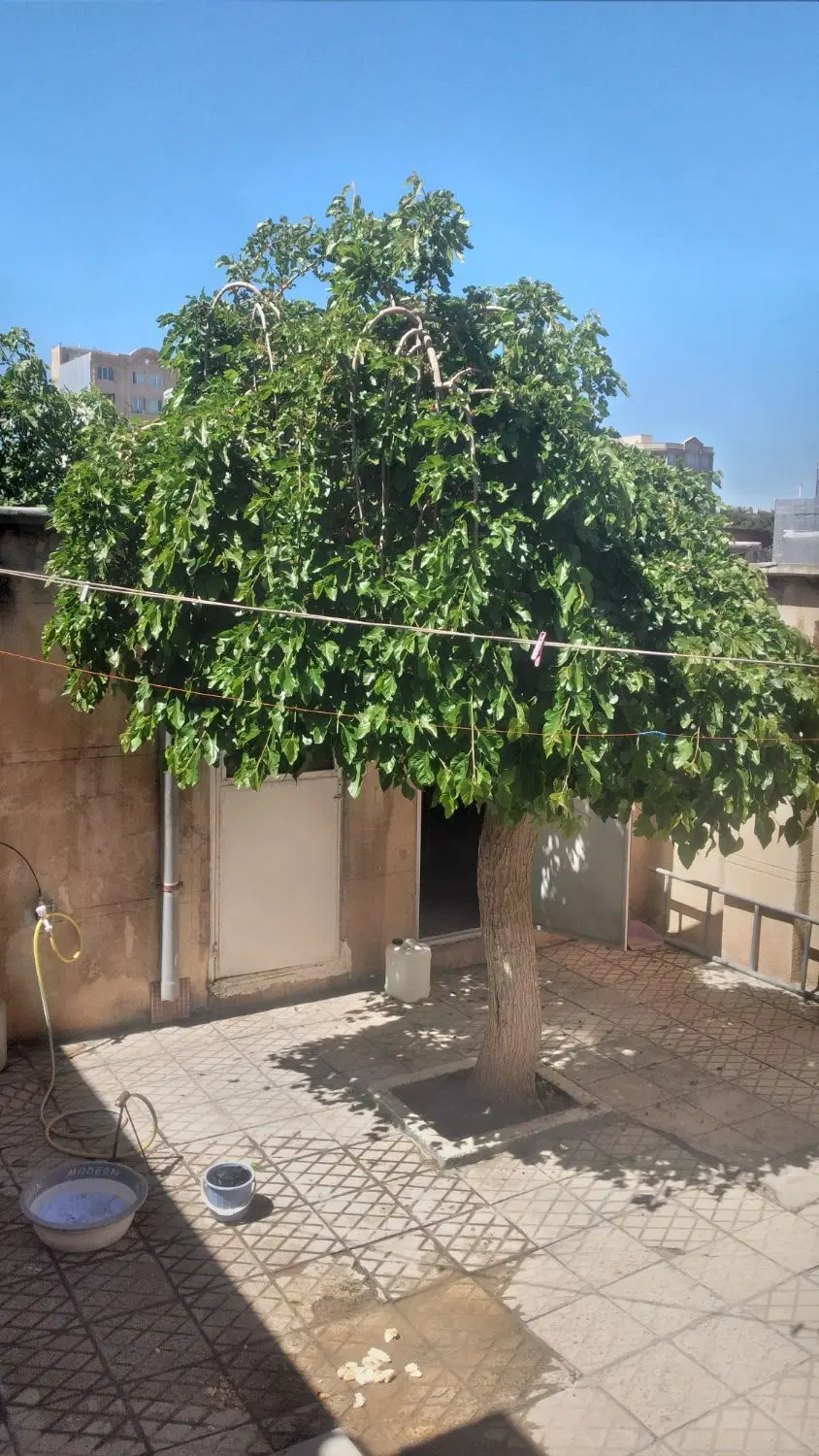 ویلایی ۱۵۳متر شریعتی