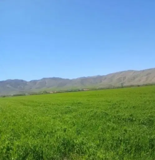 زمین فروشی در بهترین جای گوار