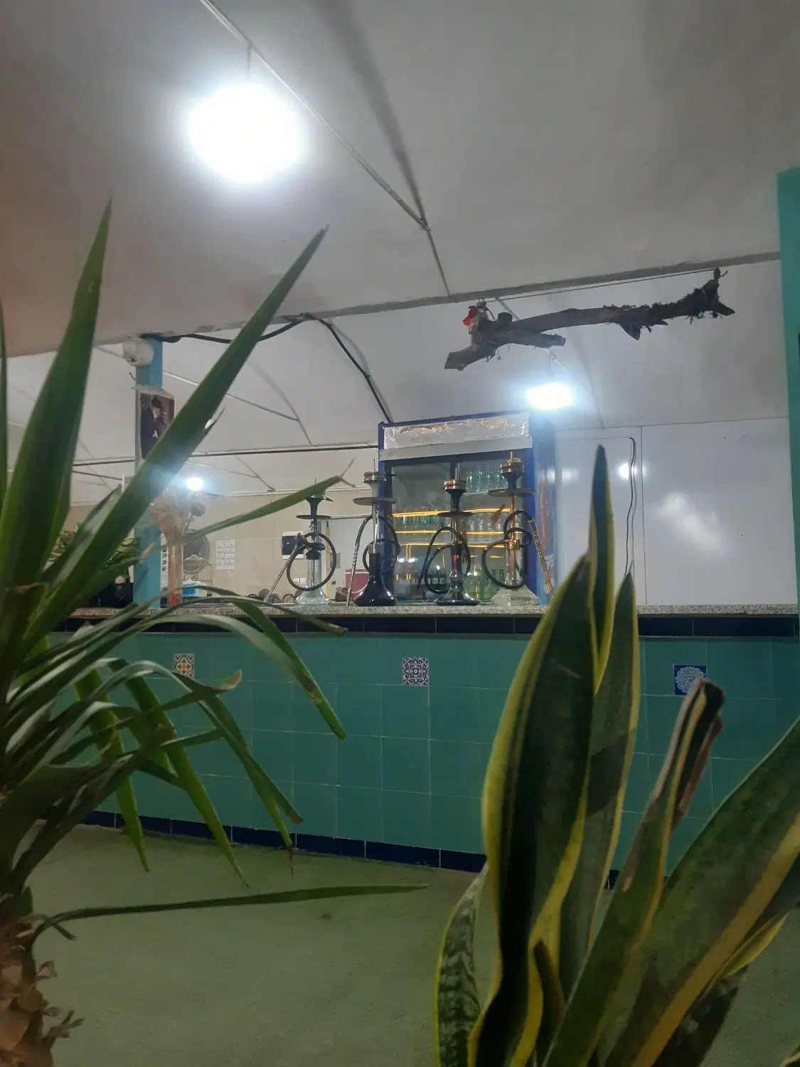 مکان برای کافه بدون کرایه