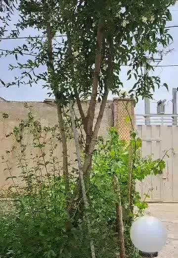 باغ ویلا شکیل نهاوند استان همدان