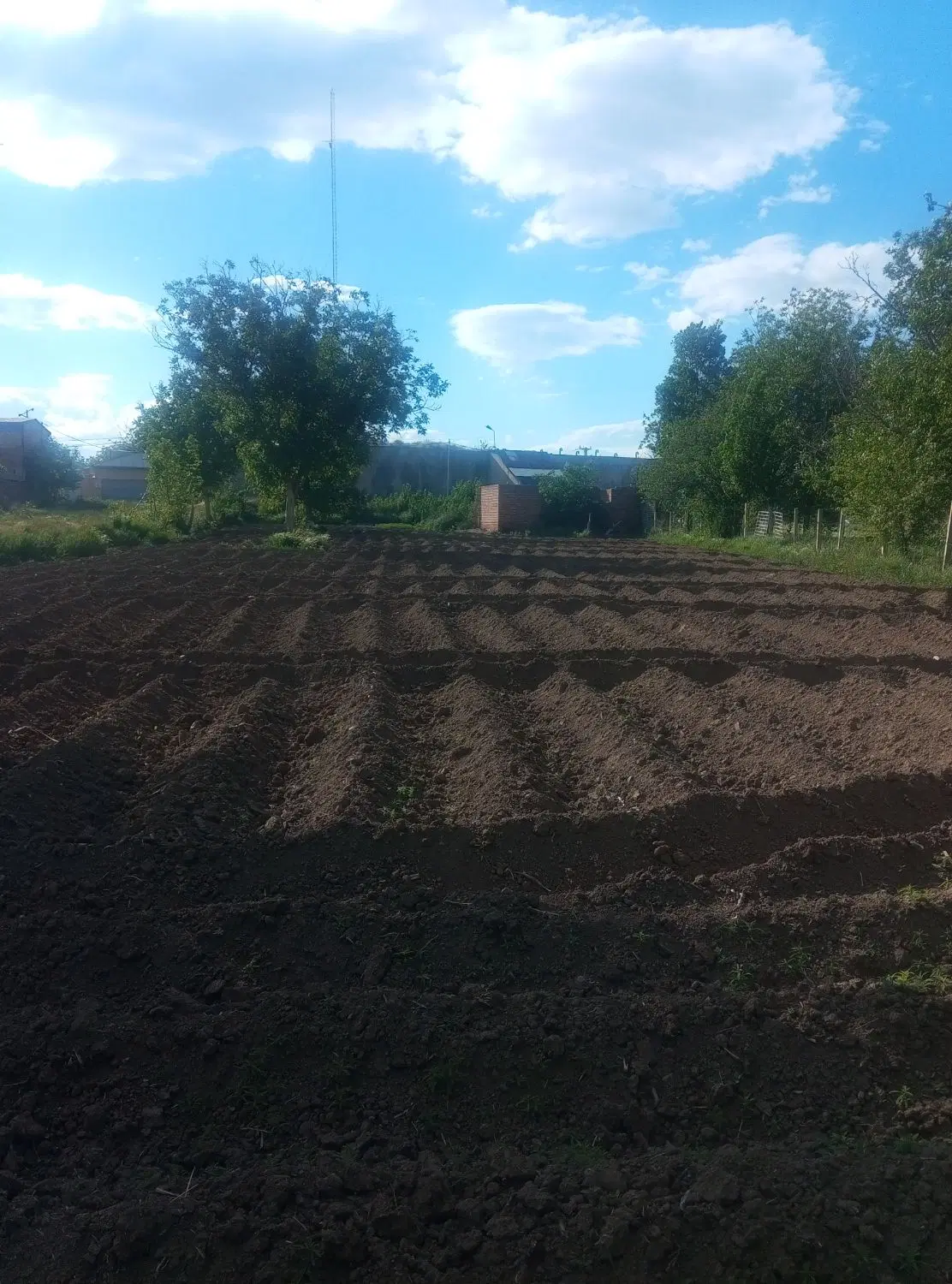 باغچه در روستای ددساقی