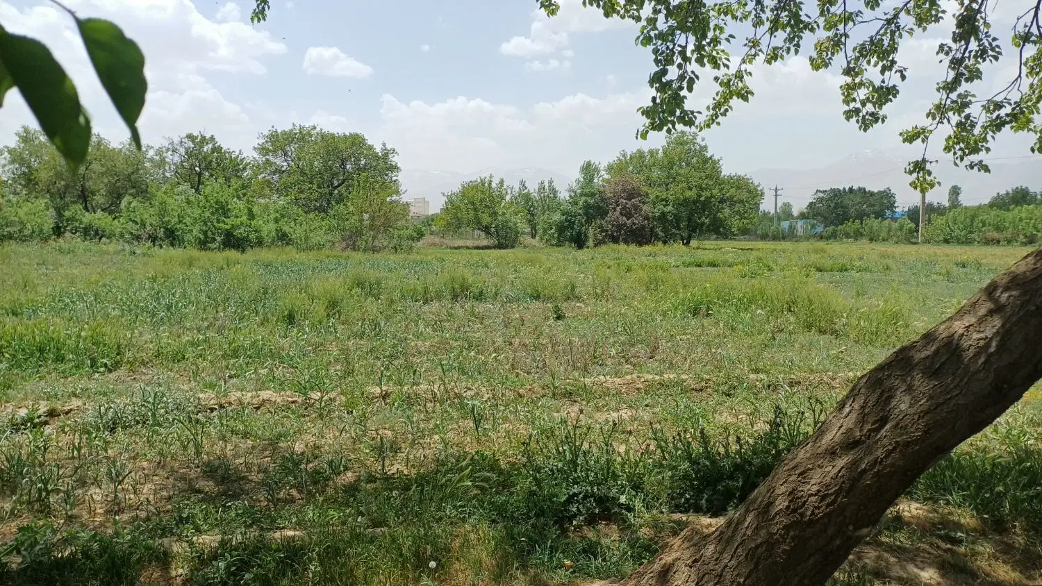 فروش یک قطعه زمین انتهای شهرک مدنی