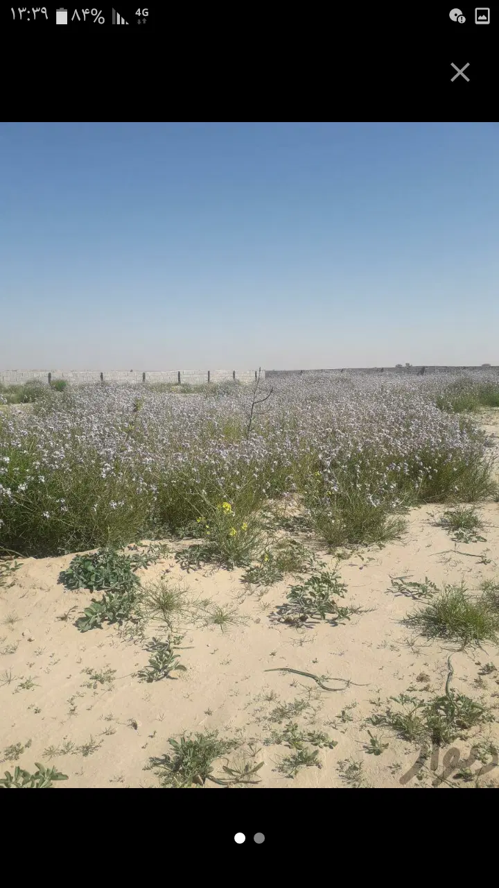 زمین باغی