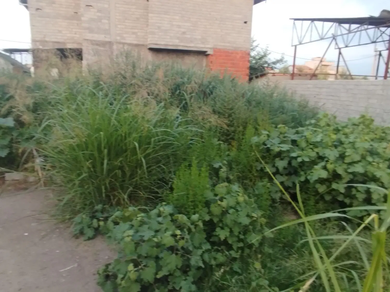 فروش زمین