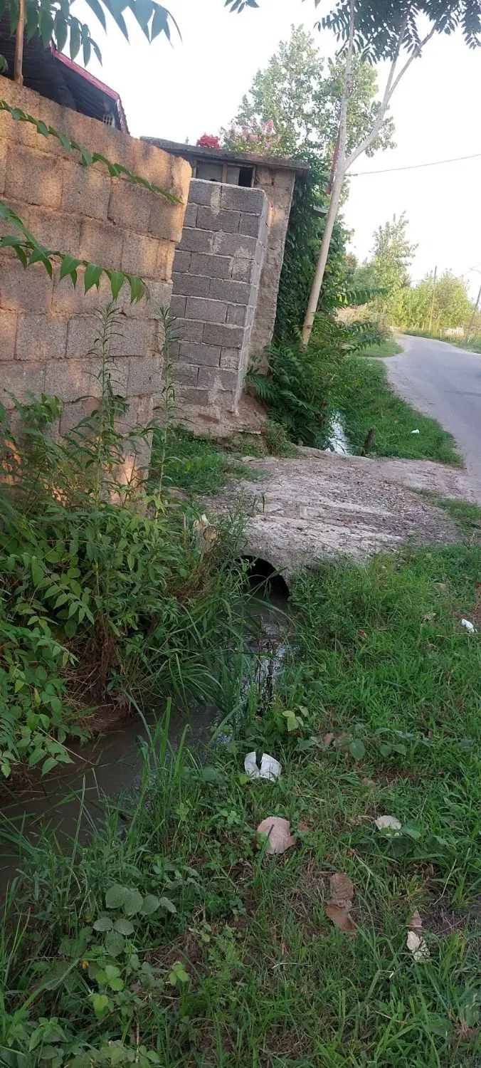 زمین مسکونی155مترچهاردیواری(برخیابان)