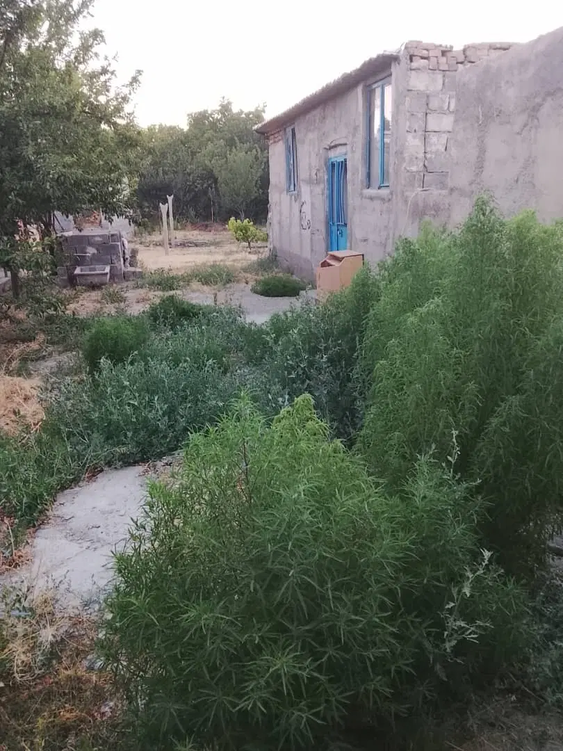 زمین مسکونی داخله روستا