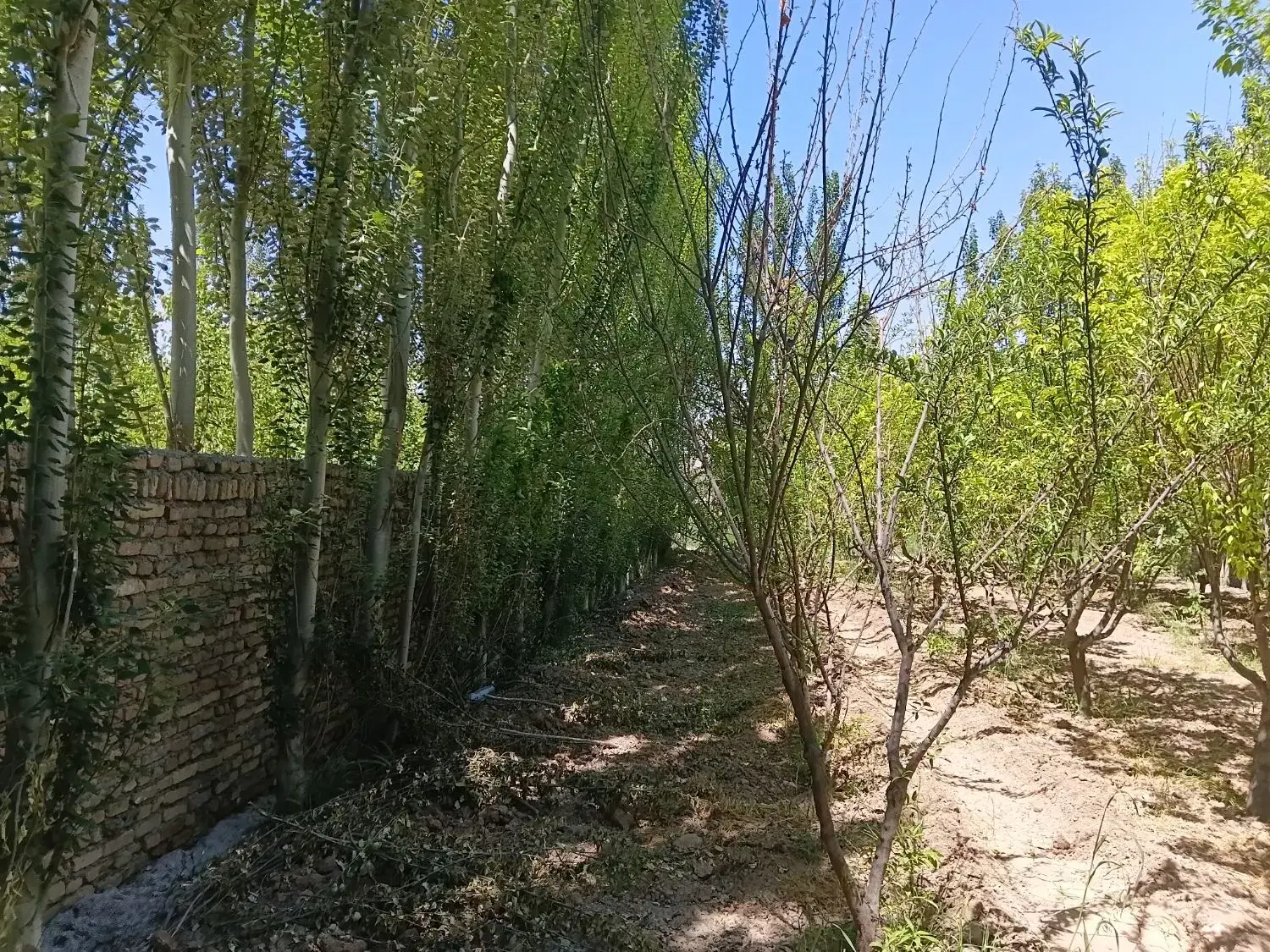 زمین با جواز ساخت