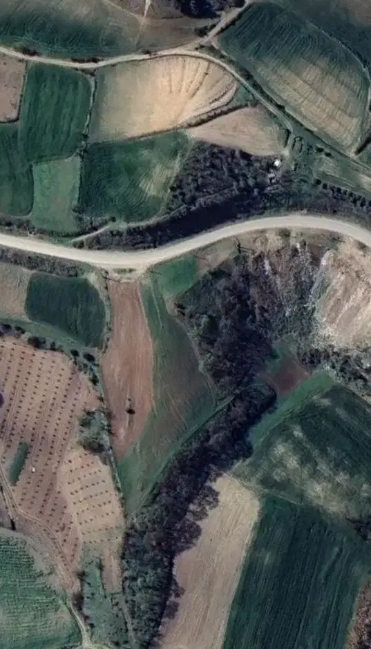 زمین باغی ابتدای روستای محمدآباد