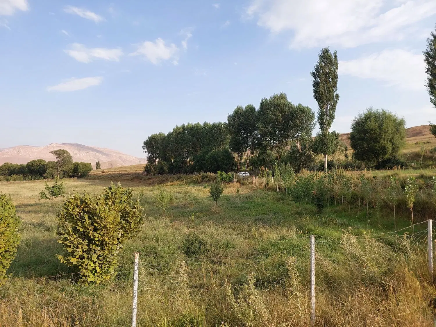 فروش باغ و زمین باغی
