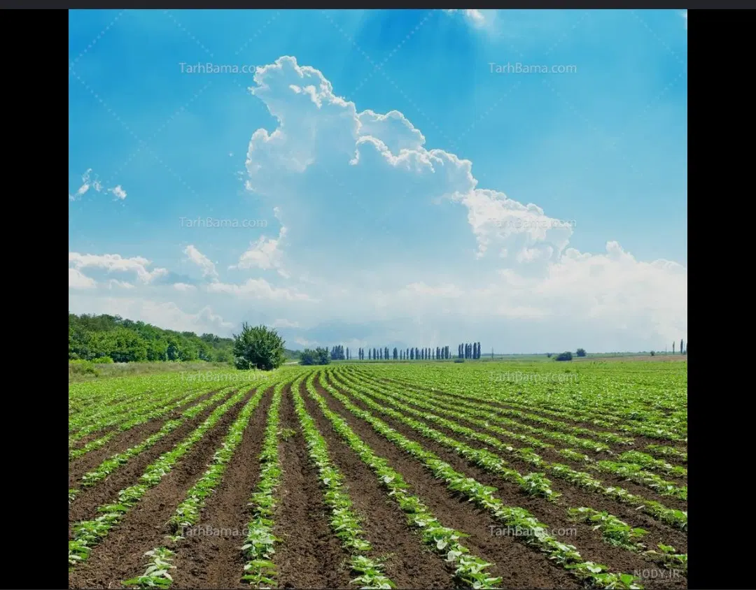 فروش زمین زراعی برای احداث باغ،ویلا